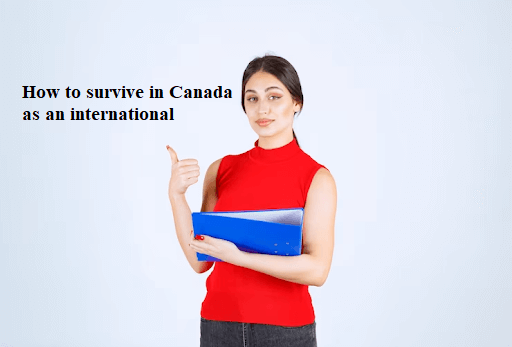 How to survive in Canada as an international student